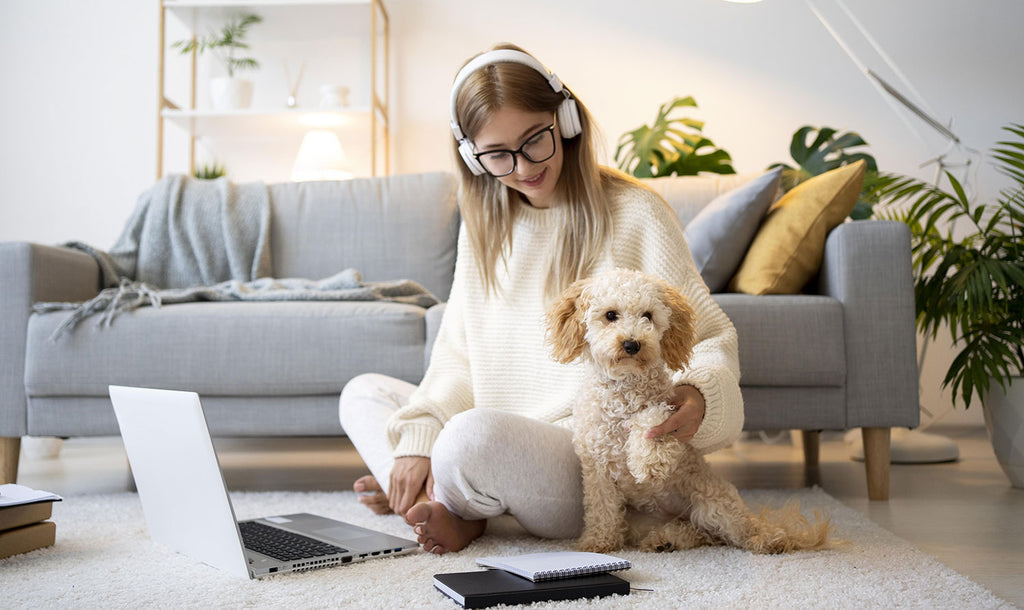 Creating the Perfect Pet-Friendly Home