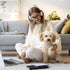 Creating the Perfect Pet-Friendly Home