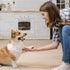 The Benefits of Interactive Toys for Your Pet