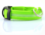 Dog Safety LED Collar