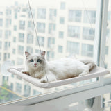 Cat Hanging Window Hammock