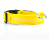 Dog Safety LED Collar