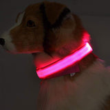 Dog Safety LED Collar