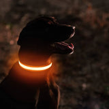 Dog Safety LED Collar