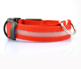 Dog Safety LED Collar