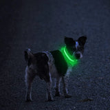 Dog Safety LED Collar