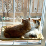 Cat Hanging Window Hammock