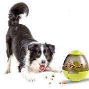 Pet Treat Interactive Ball