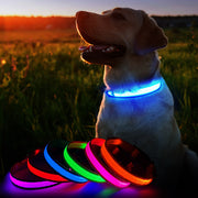 Dog Safety LED Collar