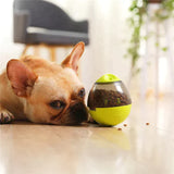 Pet Treat Interactive Ball