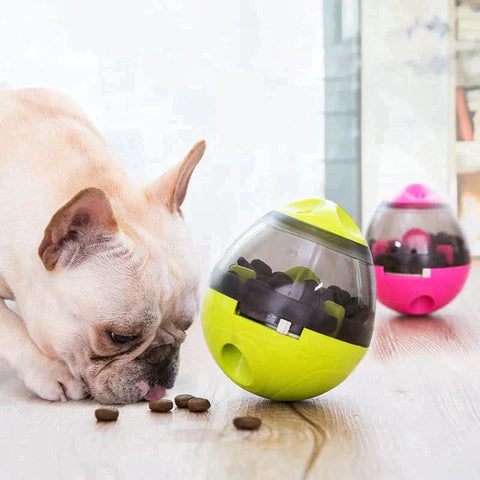 Pet Treat Interactive Ball