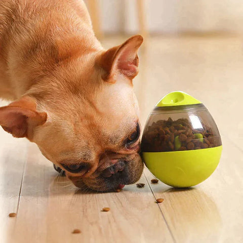 Pet Treat Interactive Ball