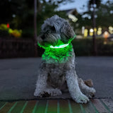 Dog Safety LED Collar